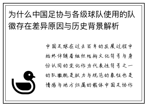 为什么中国足协与各级球队使用的队徽存在差异原因与历史背景解析