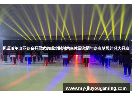 见证哈尔滨亚冬会开幕式的辉煌时刻共享冰雪激情与冬奥梦想的盛大开启